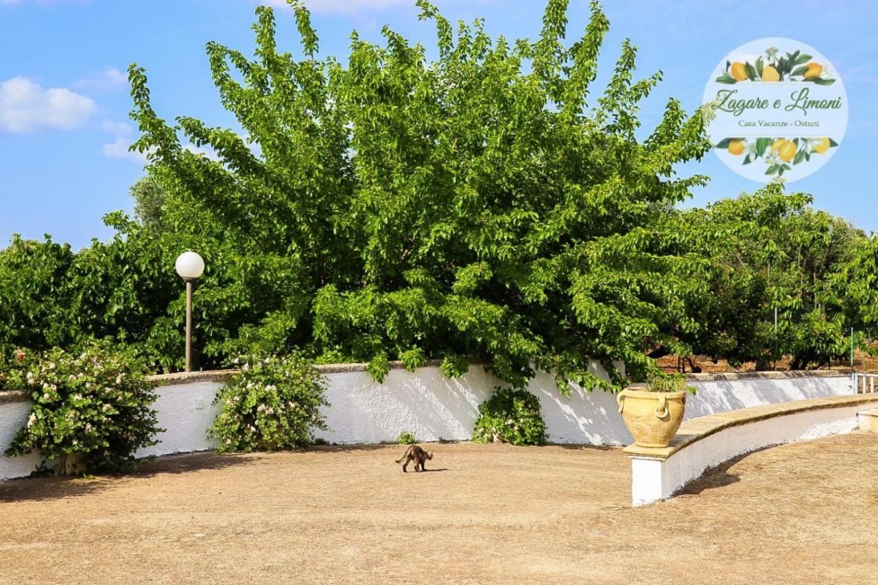 Zagare E Limoni Apartment Ostuni Exterior photo